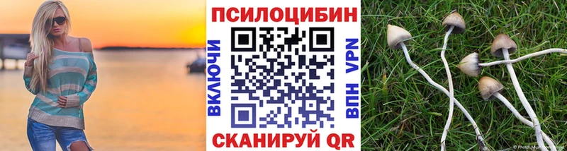 блэк спрут рабочий сайт  продажа наркотиков  Фатеж  Галлюциногенные грибы мицелий 